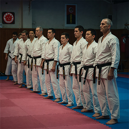 Black Belts Grading image