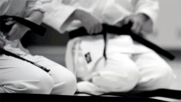 Black Belts image
